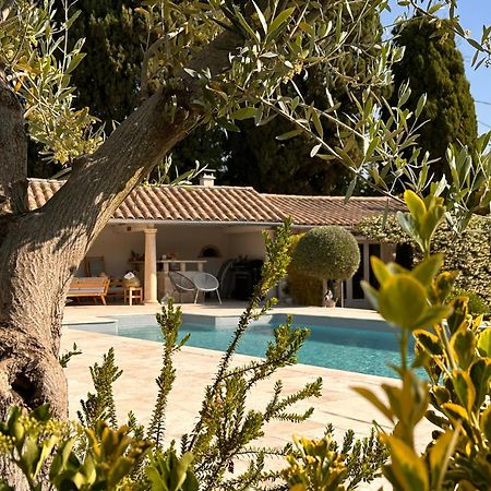 Hotel Mas Des Bambous Saint-Rémy-de-Provence Zewnętrze zdjęcie