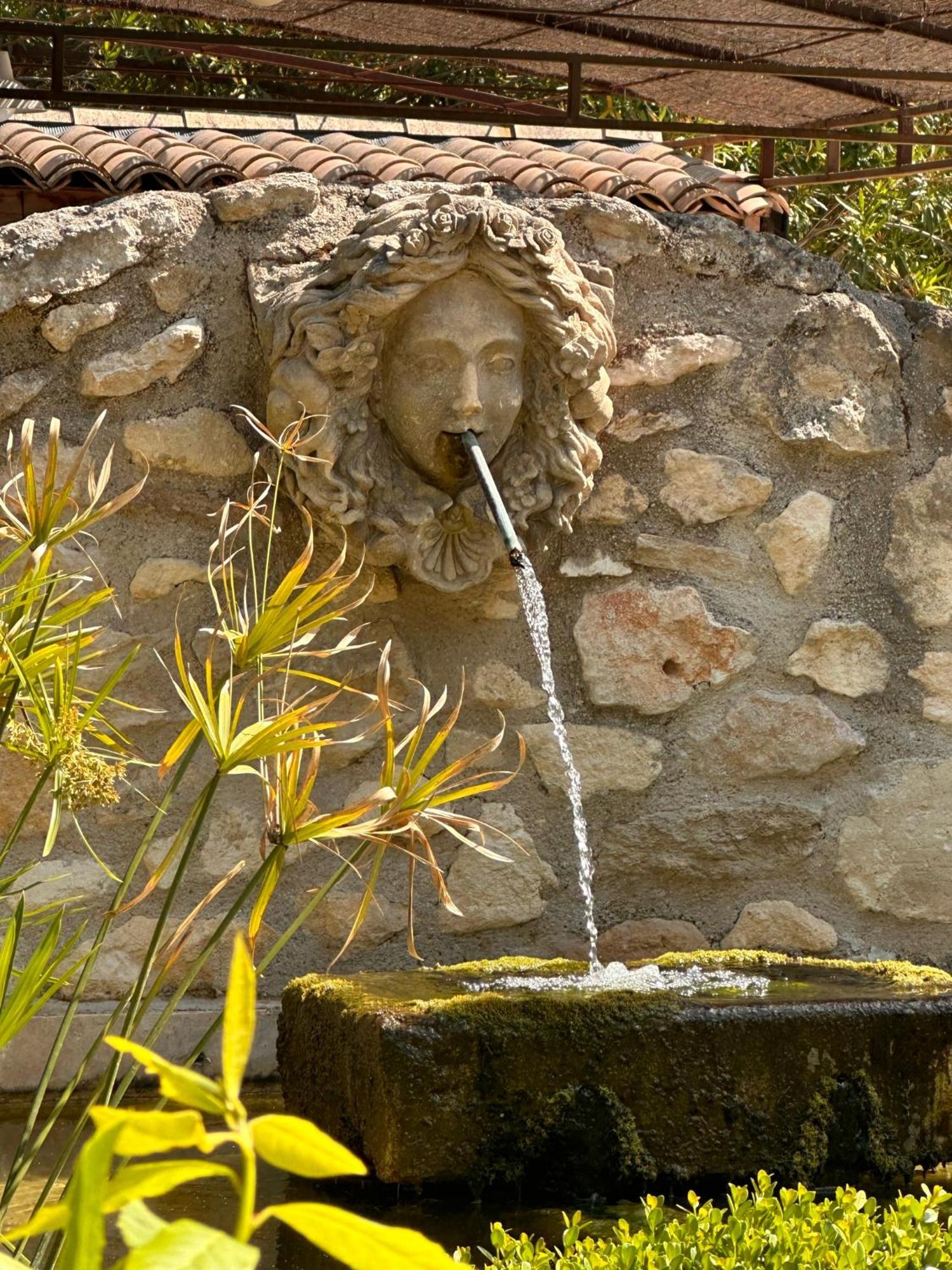 Hotel Mas Des Bambous Saint-Rémy-de-Provence Zewnętrze zdjęcie