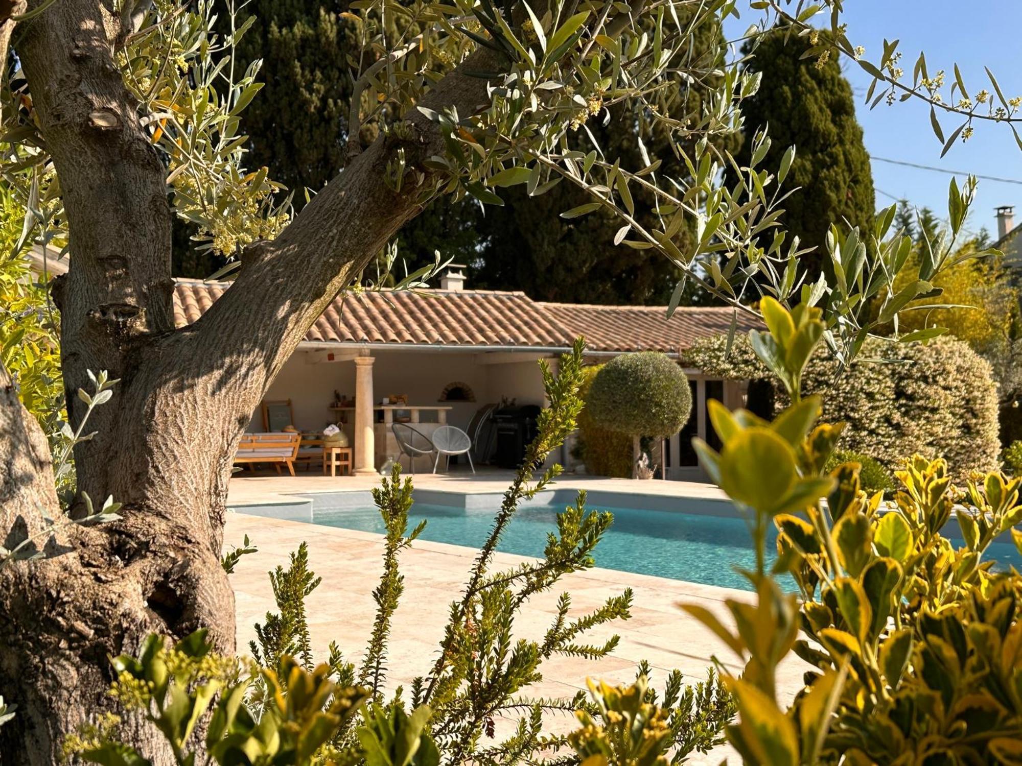 Hotel Mas Des Bambous Saint-Rémy-de-Provence Zewnętrze zdjęcie