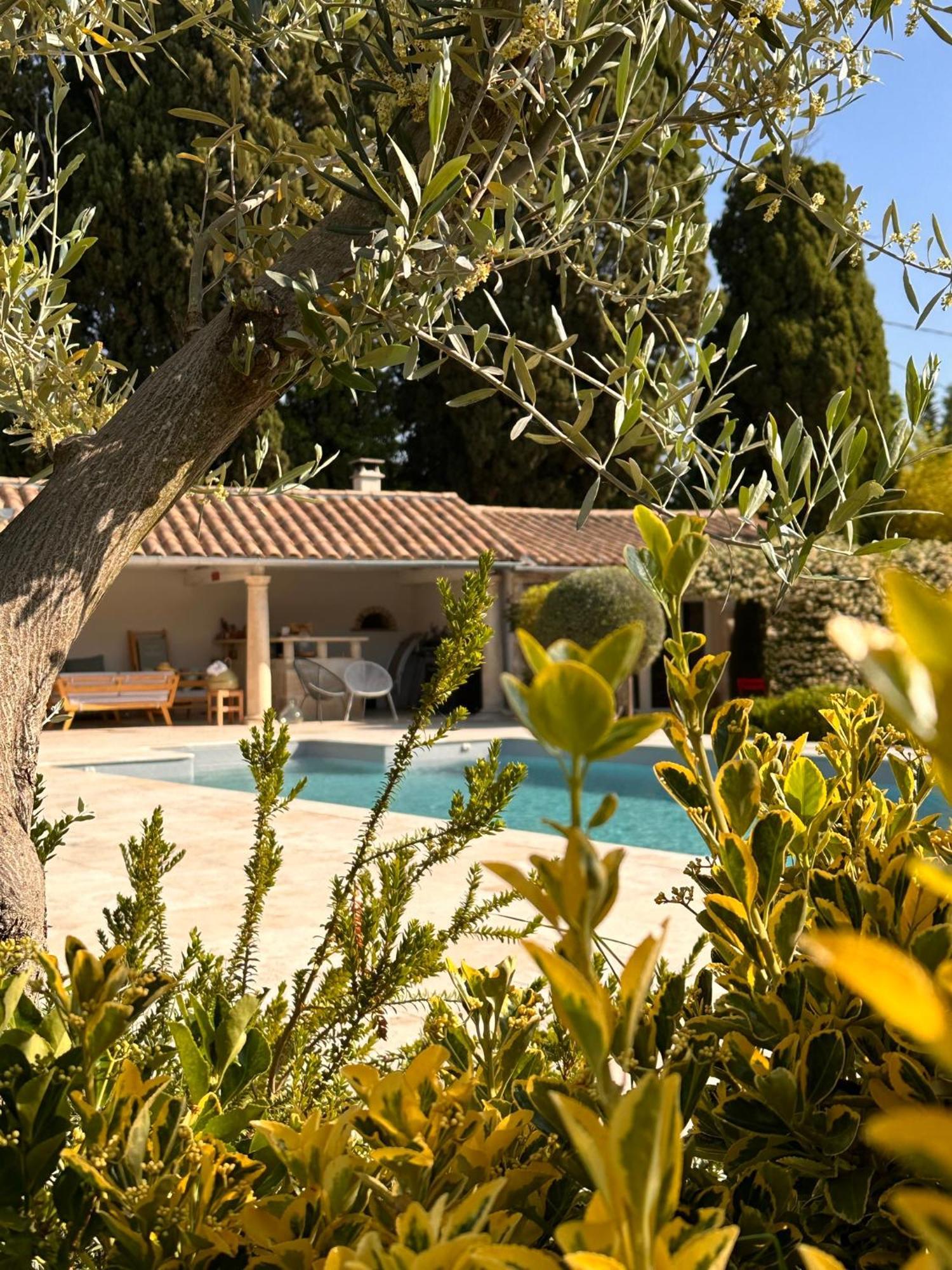 Hotel Mas Des Bambous Saint-Rémy-de-Provence Zewnętrze zdjęcie