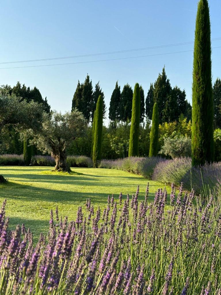 Hotel Mas Des Bambous Saint-Rémy-de-Provence Zewnętrze zdjęcie