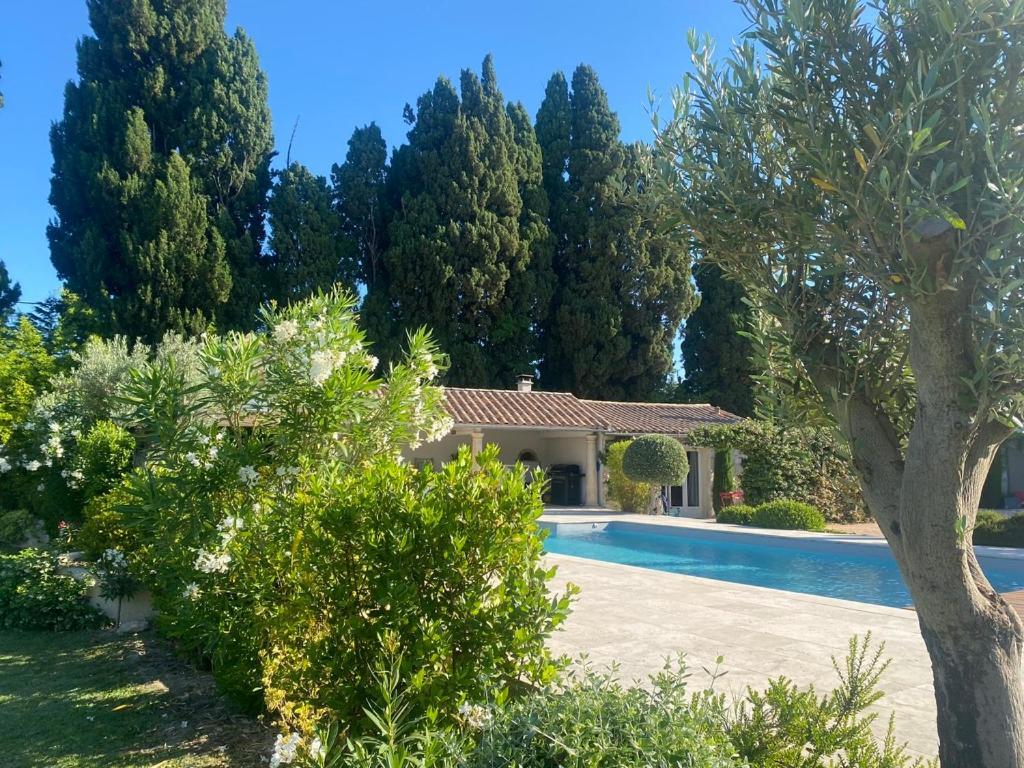 Hotel Mas Des Bambous Saint-Rémy-de-Provence Zewnętrze zdjęcie