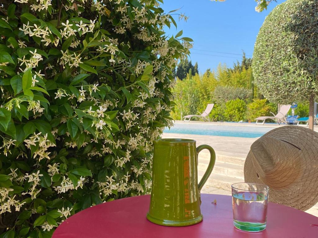Hotel Mas Des Bambous Saint-Rémy-de-Provence Zewnętrze zdjęcie